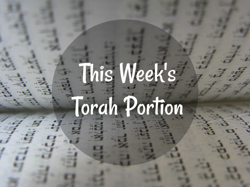 TorahPortion