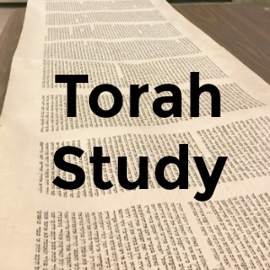 Torah Study